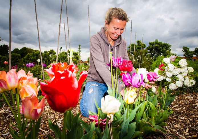 Claudia Reijnen is bezig in de Plukhoek Mookhoek.