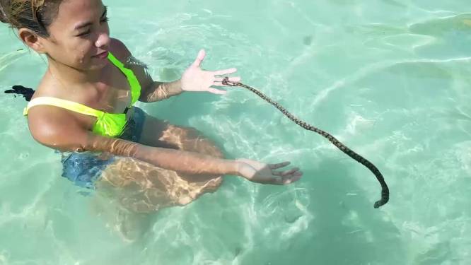 Une touriste intrépide joue avec un serpent marin mortel aux Philippines