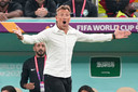 Hervé Renard