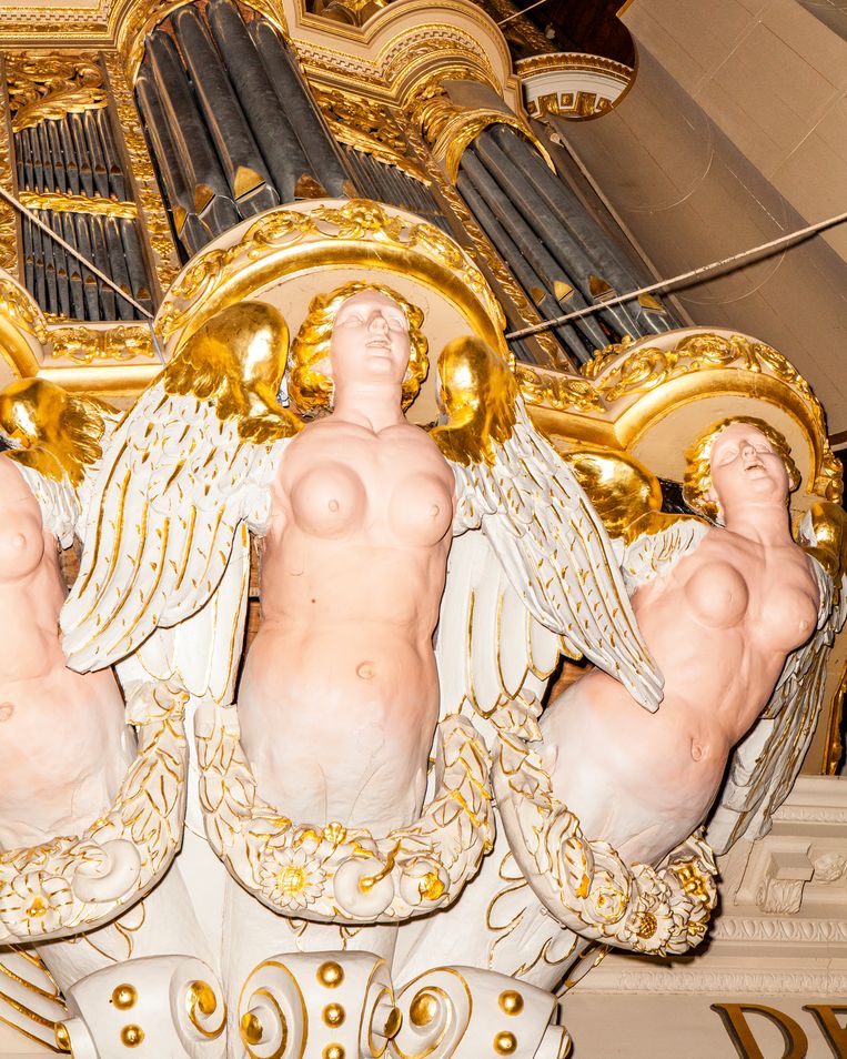 Het Van Hagerbeer-Schnitger-orgel in de Grote Laurenskerk in Alkmaar. Beeld Hilde Harshagen