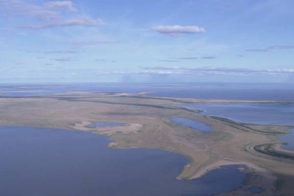 A Wolf Called Storm: Natural World