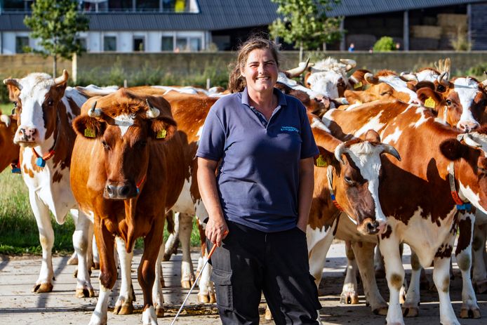 Annete Harberink uit Diepenveen stelt voor de veestapel op te heffen.