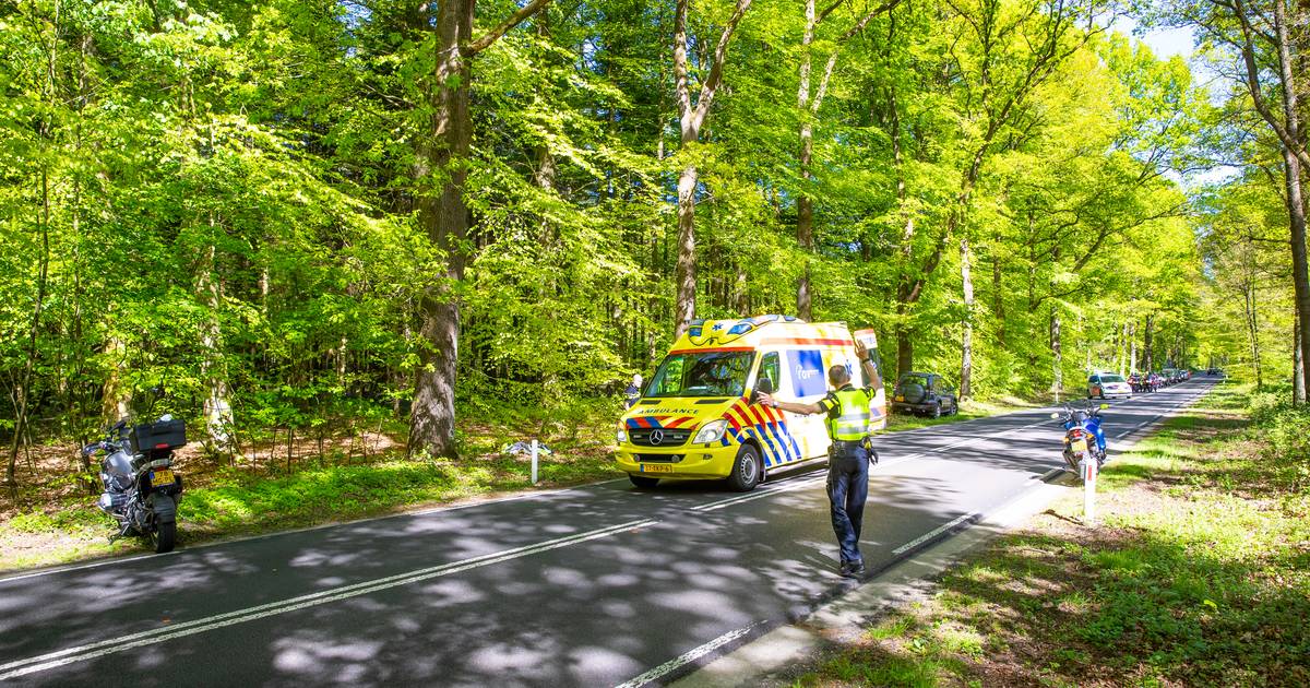 Motorrijder gewond na botsing met ree.