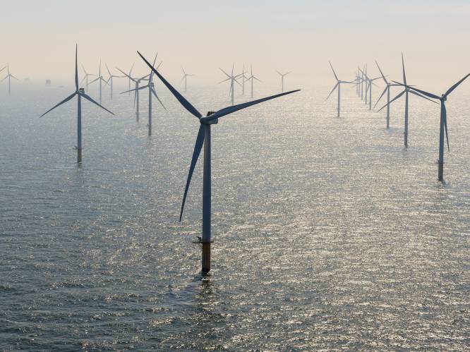 Bouw derde energiezone in Noordzee onmogelijk: “Gaat in tegen meerdere bestaande belangen”