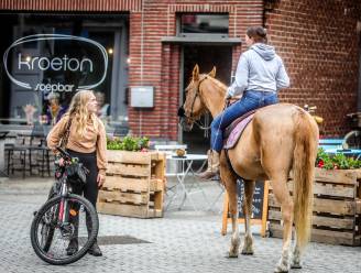 Torhoutse Paardenmarkt is aan 45ste editie toe