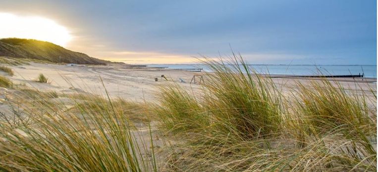 Geniet van ongerepte natuur met déze wandeling in Zeeland Beeld iStock