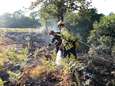 Vlaamse brandweer start met bijscholing natuurbrand: 30 uur extra vorming voor iedere brandweerman