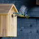 Zo nodig je vogels uit om een nestje te bouwen in je tuin