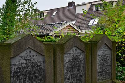 Boze buurman wil kaalslag op Joodse Begraafplaats Borne: ‘Hier horen geen bomen te staan’