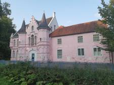 Toch géén vleermuizen in Roze Kasteel, renovatie kan starten