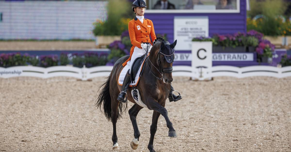 Dinja van Liere bezorgt Nederland brons bij WK dressuur - BD.nl