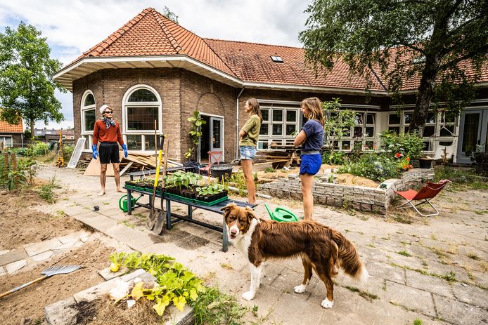 Woongroep De Huisdieren in Dieren.