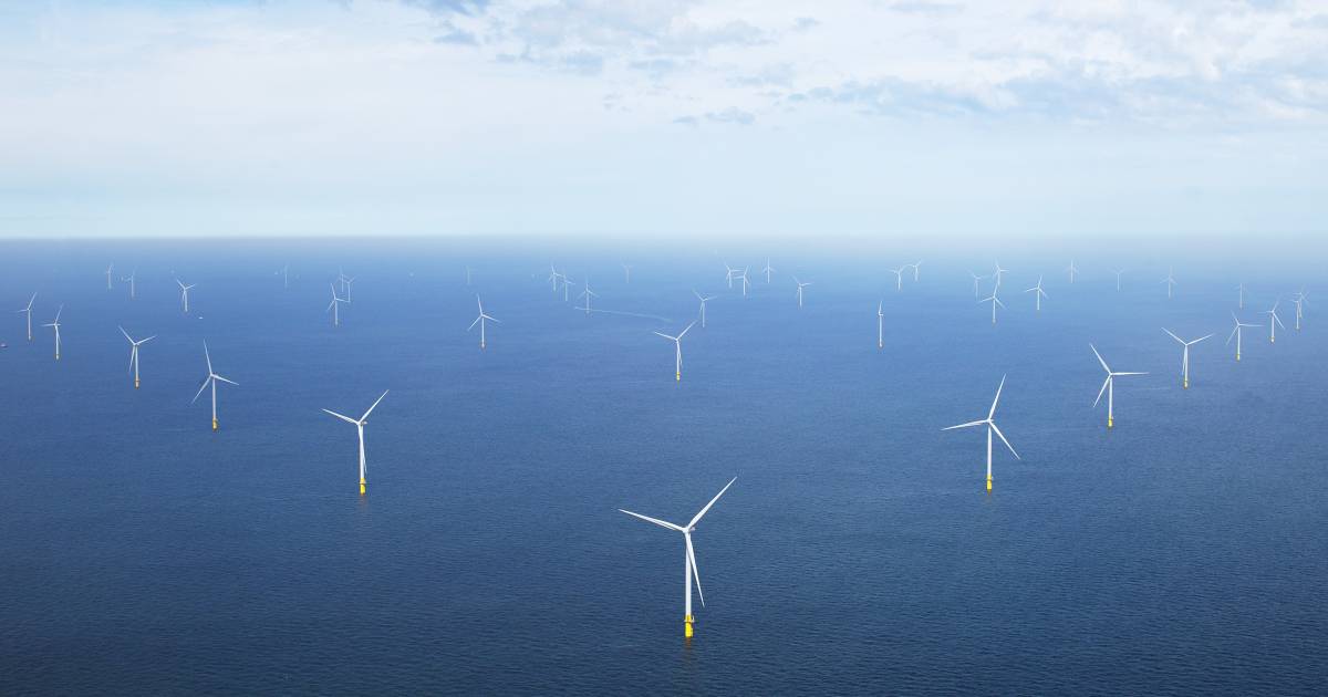 Ørsted opent Borssele 1 en 2 officieel: Deense waaghals plaveide de weg voor subsidievrije windparke
