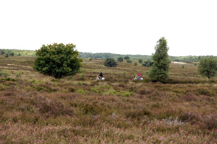 fietsroute Truus Wijnen
Sallandse Heuvelrug