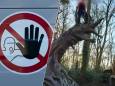 Efteling schrikt van klimmend kind op vier meter hoge kabouterboom: ‘Ouders, laat je kinderen niet alleen’