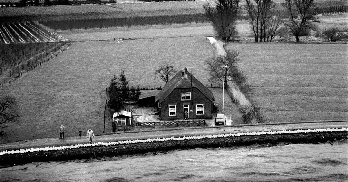 ‘Kappen met kappen’: omwonenden willen dat Waterschap van de bomen afblijft bij dijk Opijnen