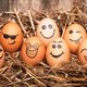 Hoera! Het is vandaag Wereld Eierdag
