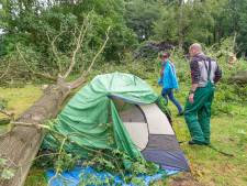 Storm kegelt bomen om op camping in Vollenhove: ‘Geluk dat iedereen dit heeft overleefd’