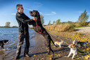Nederland,  Kerkdriel, Hans van Kruft loopt met zijn honden langs de Zandmeren.
