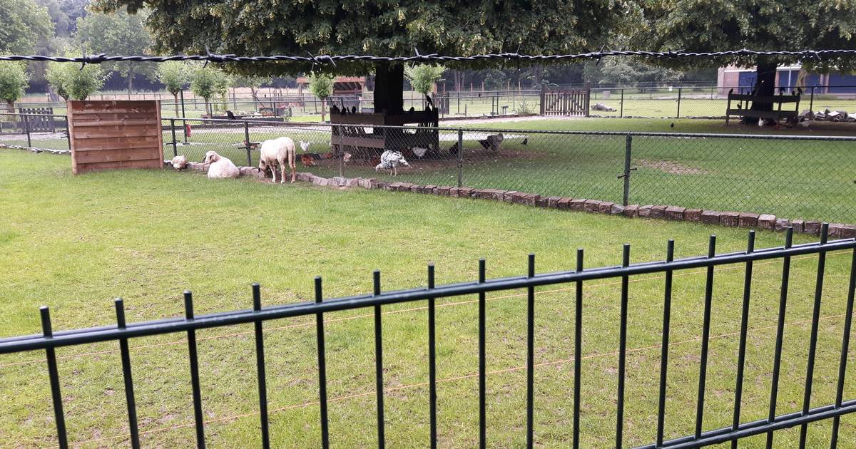 Evenement ‘West Beweegt’ in Den Bosch valt in het water