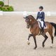 Dressuuramazone Verwimp kandidaat olympisch finaliste na tiende plaats in Aken