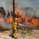 Brandweerlieden in Californië trekken van bosbrand naar bosbrand: ‘Geen idee wanneer ik mijn gezin weer zie’