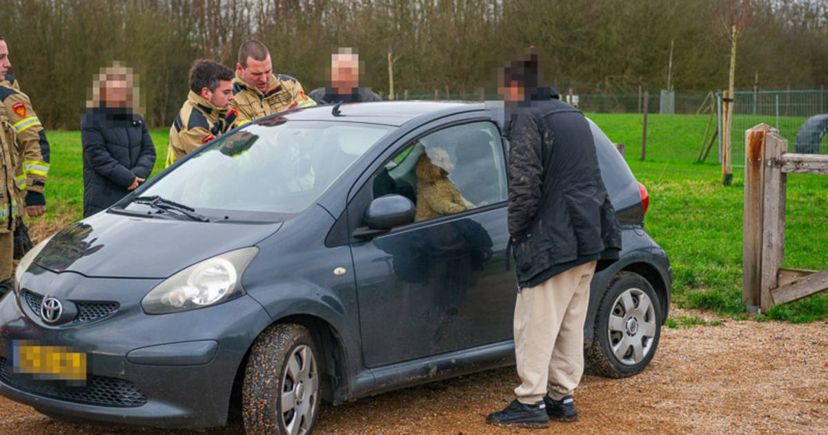 Hondje heeft geen zin in kerst en doet auto op slot als baasje even uitstapt