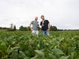 Bart (links) en Tom Grobben verbouwen sojabonen op drie hectare grond, nabij Het Rutbeek.