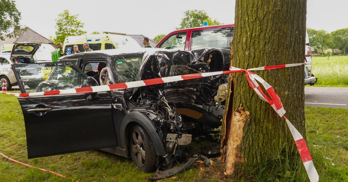 Nijmeegse automobilist overleden bij botsing tegen boom.