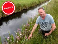 Plantje dat niet van stikstof houdt, duikt op naast veehouderij: hét teken dat landbouw en natuur naast elkaar kan bestaan?
