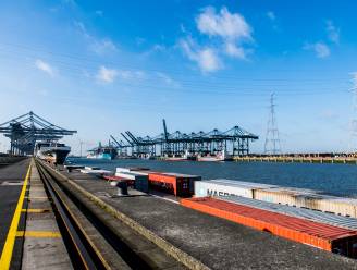 Containerterminal in Antwerpse haven gaat vrachtwagens ontmoedigen tijdens piekuren: “Dringend nood aan meer spreiding”