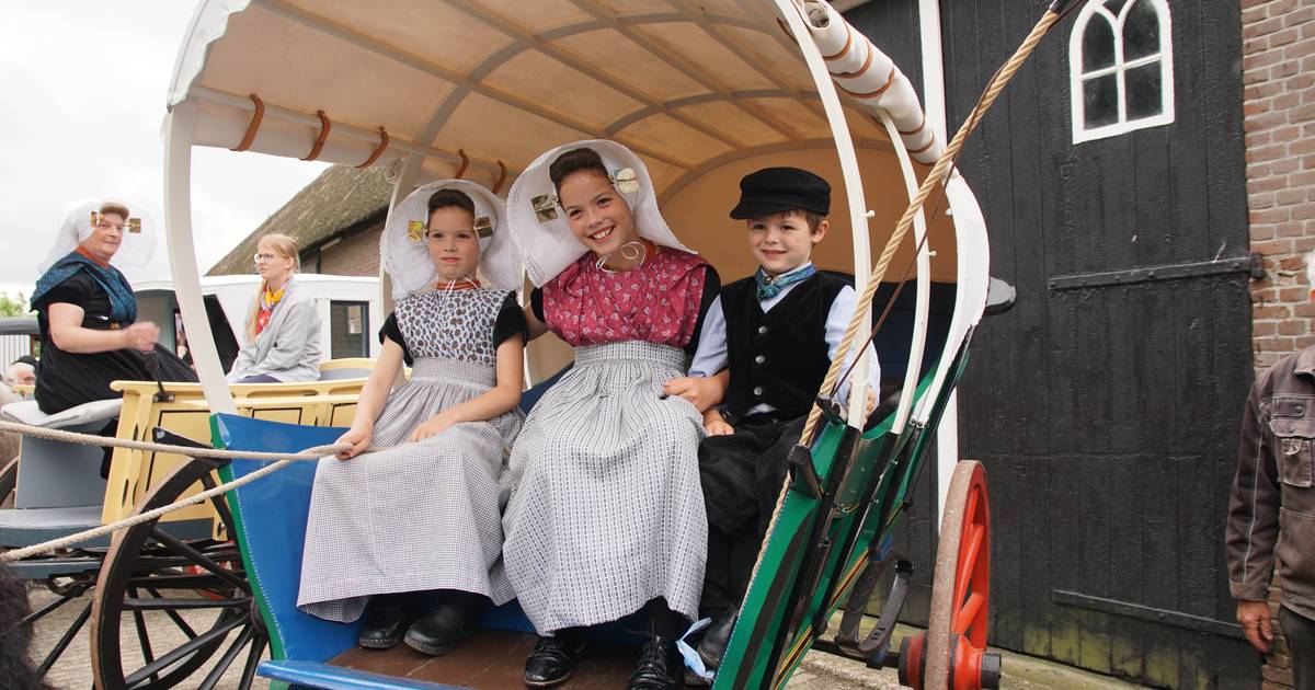 MIJN FOTO | Voor het karretje gespannen