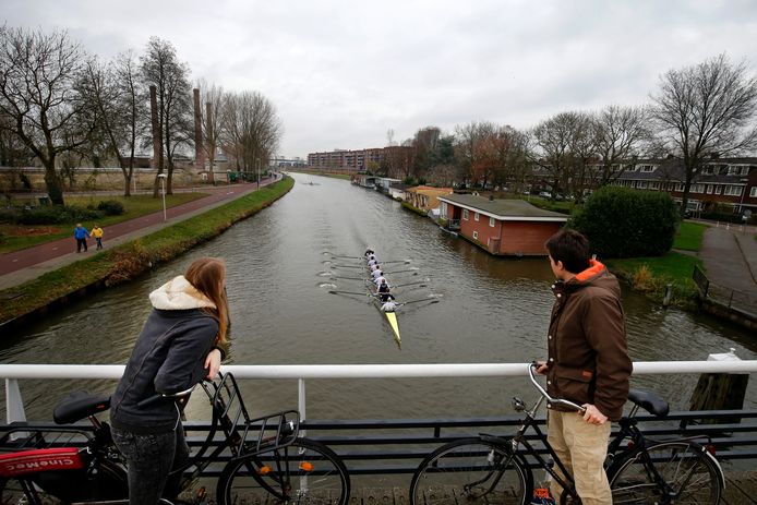 Roeiers op het Merwedekanaal.