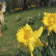 Nú al een mooie lente: volgende week wordt het 20 graden