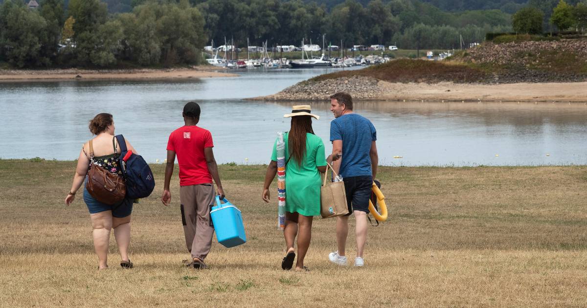 Zwemmers kunnen weer veilig terecht in Rhederlaag: test wijst uit dat water schoon is