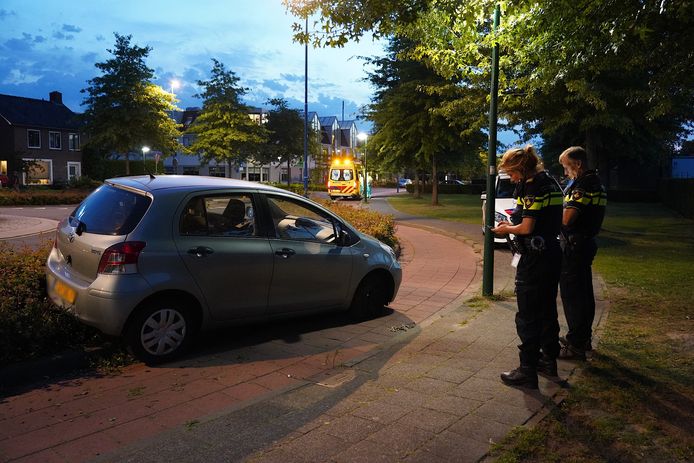 Automobilist verliest macht over het stuur in Dongen.