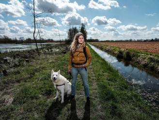 Over de dijk tussen beschermd natuurgebied en een met gif bespoten akker: ‘Dit zien we liever niet’