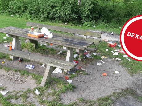 Barbecue in het park verbieden? ‘Dan lijden de goeden weer onder de kwaden!’