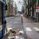 Dierenliefhebbers moeten eigenlijk geen huisdier nemen