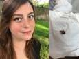 Kakkerlak nestelt zich in oor van Amerikaanse en blijft daar 9 dagen zitten