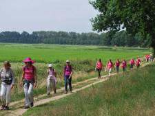 Drunens Wandelfestival gaat voor hoogste opbrengst ooit voor strijd tegen kanker