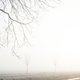 Maandag 16 februari in beeld