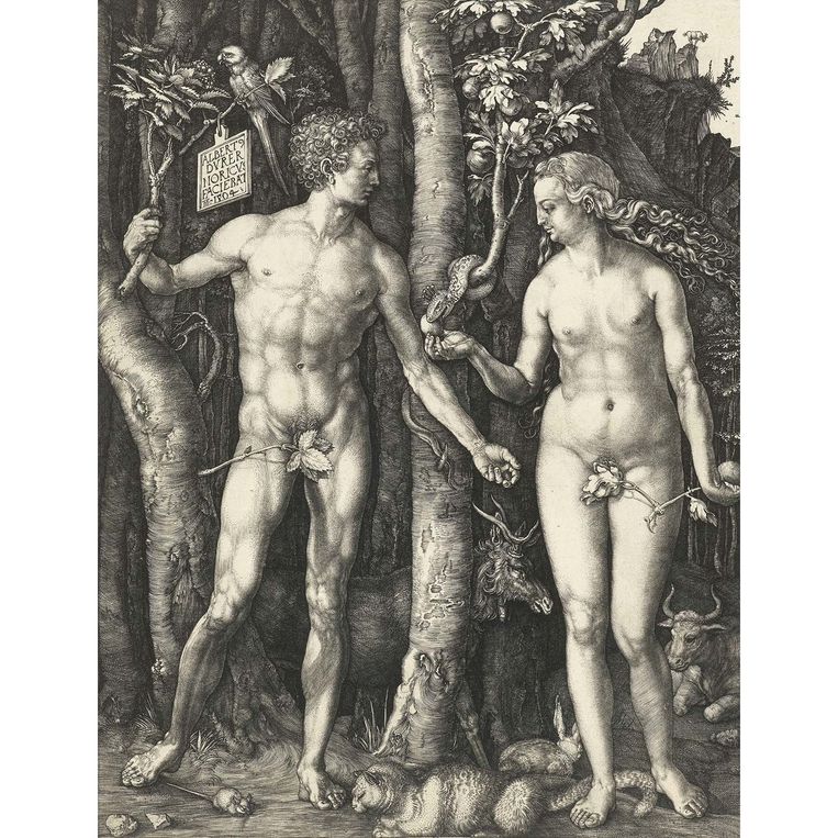 ‘Adam en Eva’, 1504 Beeld Rijksmuseum Amsterdam