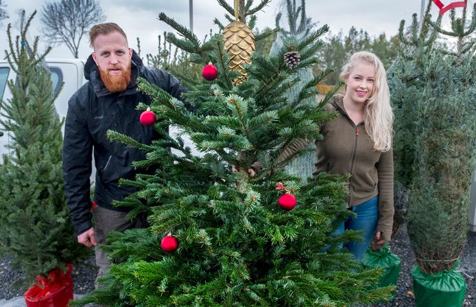 Rick Alix kerstbomen 'Meer mensen bleken op het idee te zijn gekomen' Heumen | gelderlander.nl