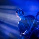 The Haunted Youth stond op het podium, maar zijn geest vertoefde in een wereld hier ver vandaan ★★★★☆