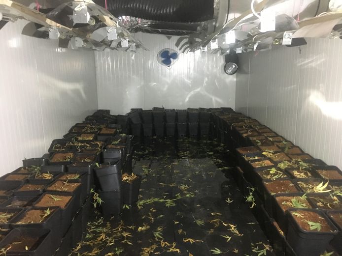 Hennepkwekerij ontmanteld in horecagelegenheid Voyage in Oldenzaal.