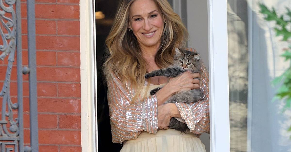 Sarah Jessica Parker and Matthew Broderick Adopt the Cat from ‘And Just Like That…’