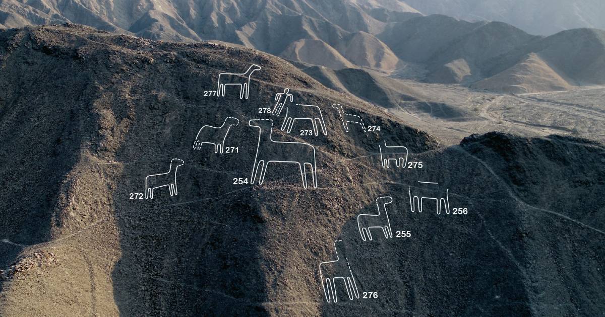 Researchers discover 168 new Nazca geoglyphs in Peru |  science