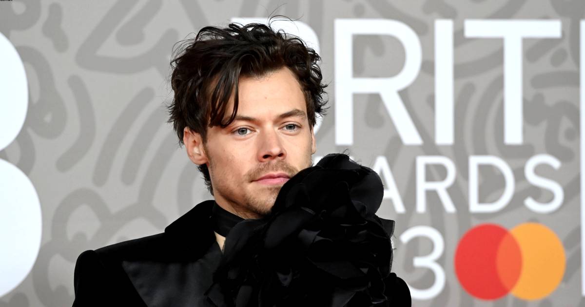 Harry Styles si fa crescere le ciocche corte, per la gioia dei fan |  celebrità