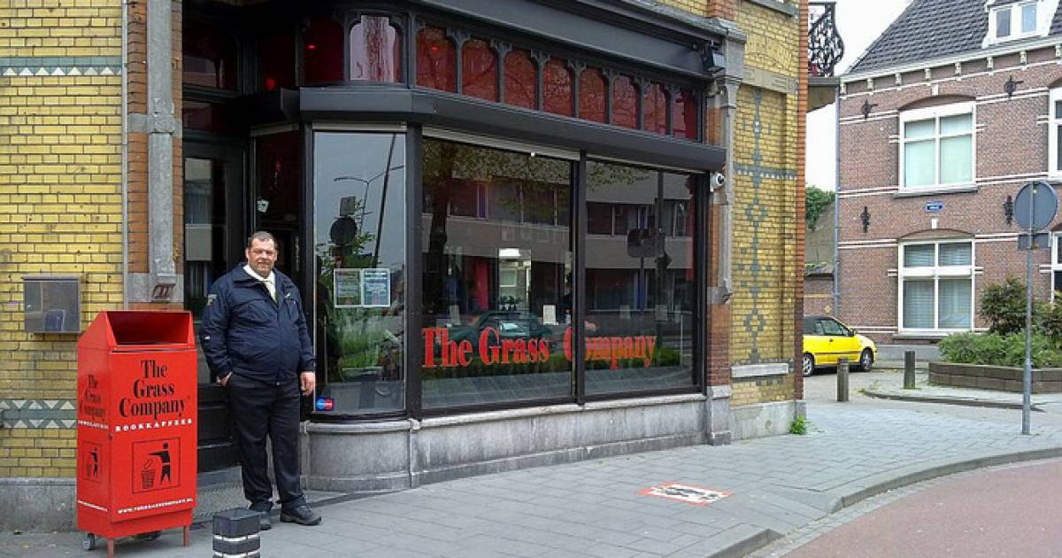 Grass company outlet